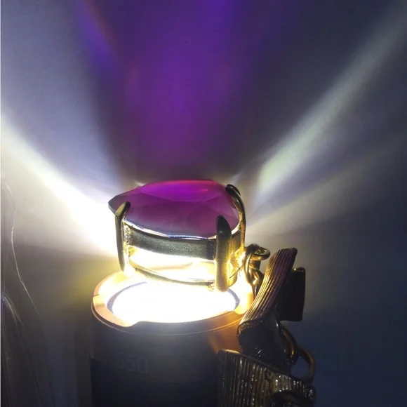 Juicy Couture purse charm - Picture 5 of 5